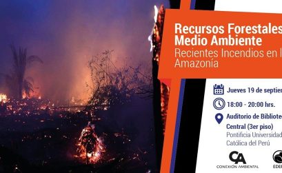 Recursos forestales y medio ambiente: incendios forestales en la Amazonía